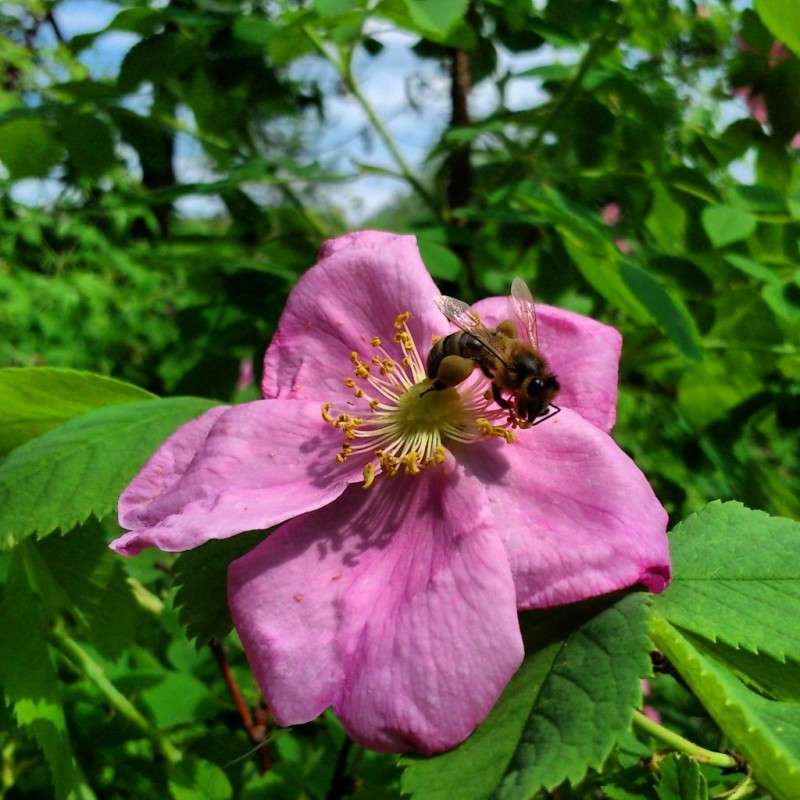 � ����� ��������� ����� ����� ����� �� PhotoGeek.ru #������ ��� ������� #���������