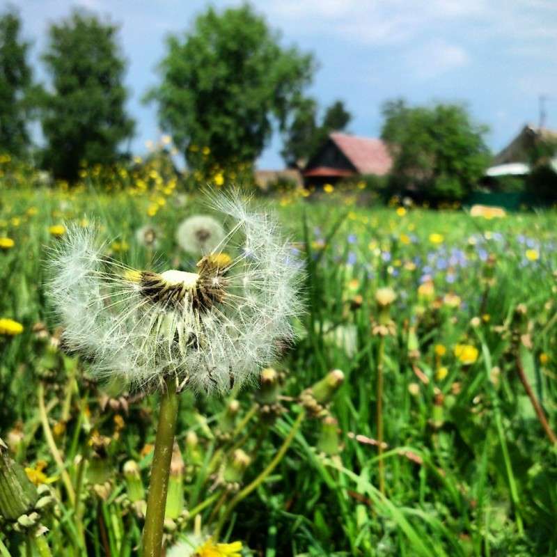 � ������� ����� ����� ����� �� PhotoGeek.ru #������ ��� ������� #����� �������������� #��������� #����� ��������