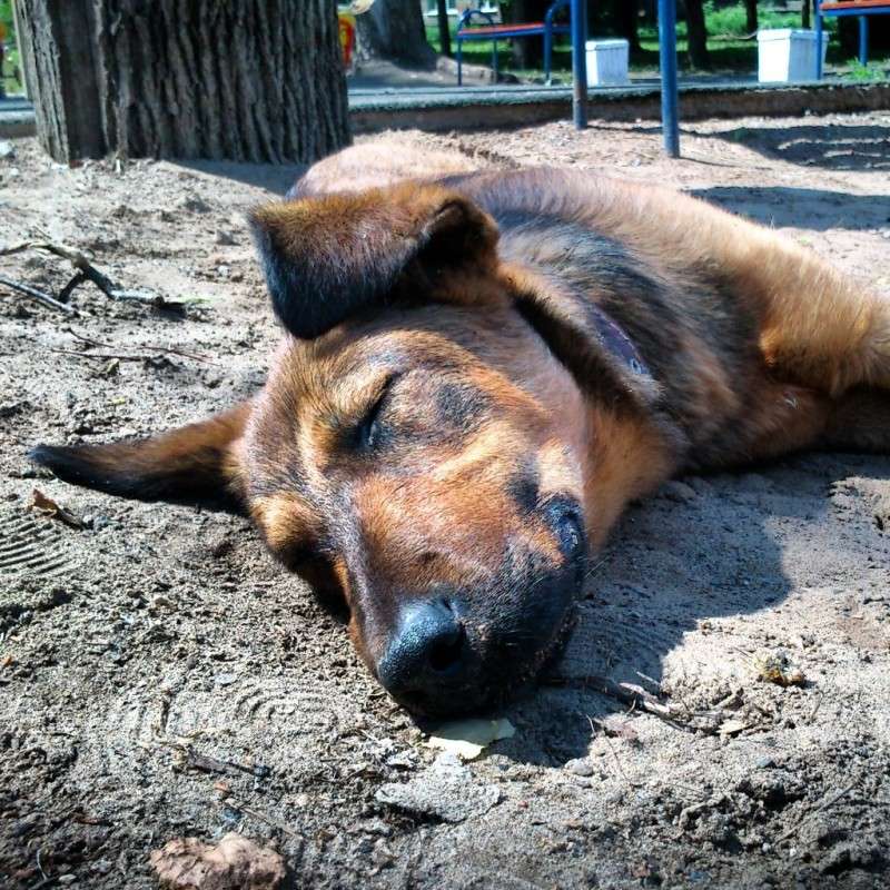 ��� �����! ����� ����� ����� �� PhotoGeek.ru #�������� ���