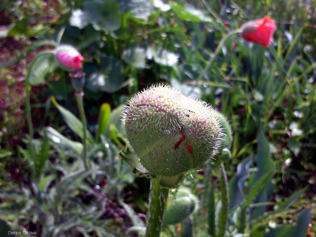 � ������ ����� ����� ����� �� PhotoGeek.ru #������ ��� ������� #����� �������������� #���������