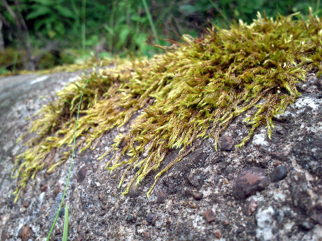 ��� �� ����� ����� ����� ����� �� PhotoGeek.ru #������ ��� ������� #����� �������������� #���������