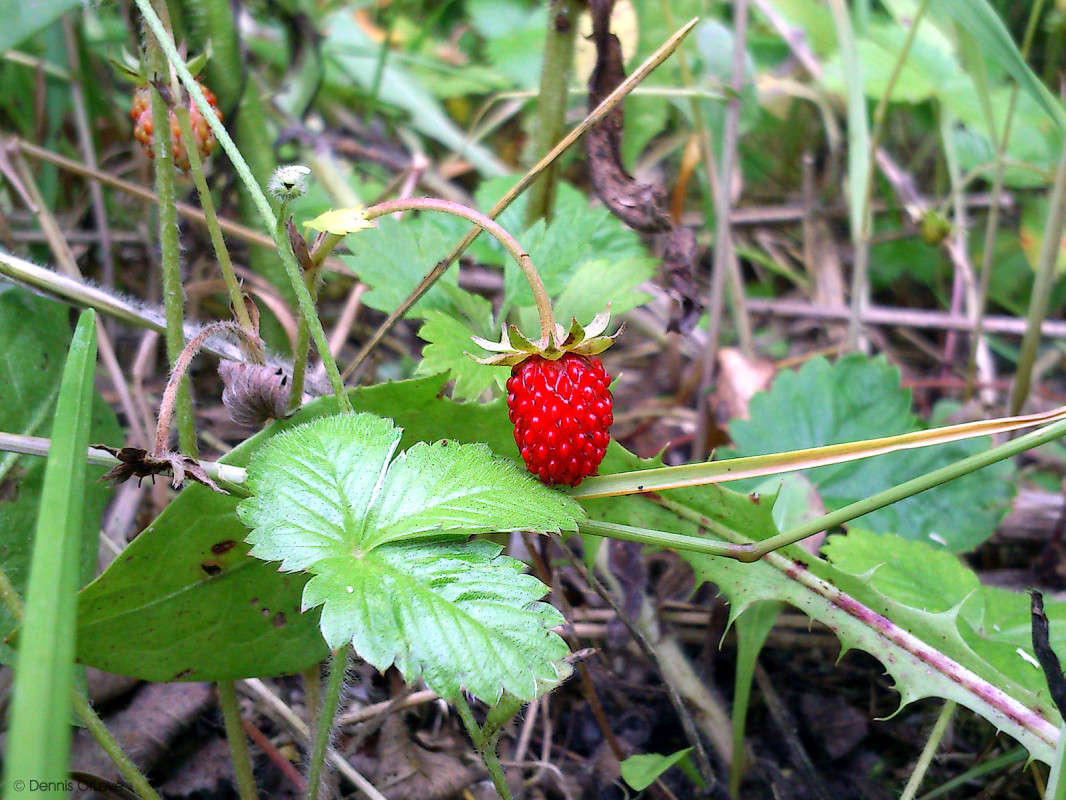 ��������� �� ������� ����� ����� ����� �� PhotoGeek.ru #������ ��� ������� #����� �������������� #����� ��������