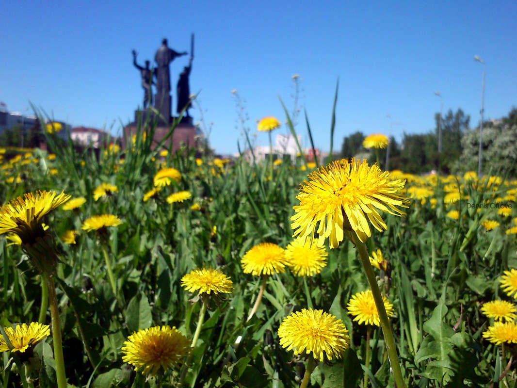 ������ ������� ���� ����� ����� ����� �� PhotoGeek.ru #����� #������ ��� ������� #����������� #����� ��������������