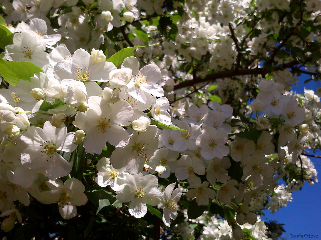 ������ ����� ����� ����� �� PhotoGeek.ru #����� #������ ��� ������� #����� ��������������