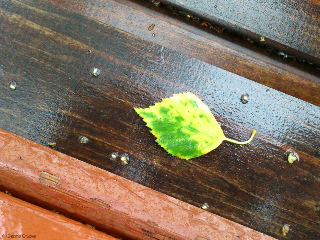 3 � 1 ����� ����� ����� �� PhotoGeek.ru #������