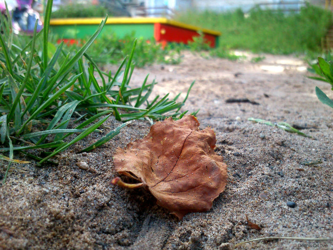 ����, ������! ����� ����� ����� �� PhotoGeek.ru #����� #����� #����� ��������������