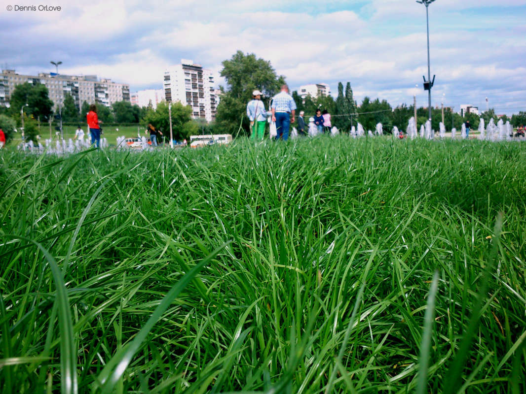 � ������ ����� ����� ����� �� PhotoGeek.ru #����� #����������� #������ ������ #��������� ������