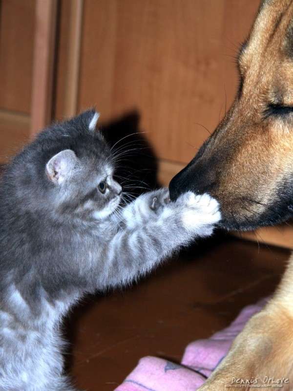 ������ � ������� ������� ����� ����� ����� �� PhotoGeek.ru #�������� ���