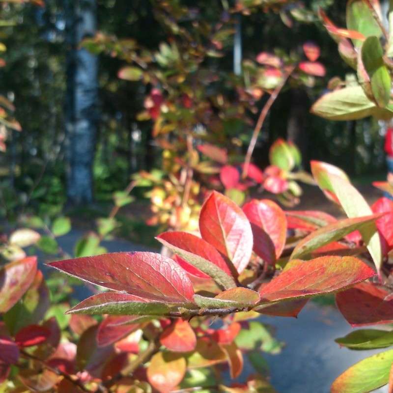 ������ ����� ����� ����� ����� �� PhotoGeek.ru #������ ��� ������� #����� ��������������