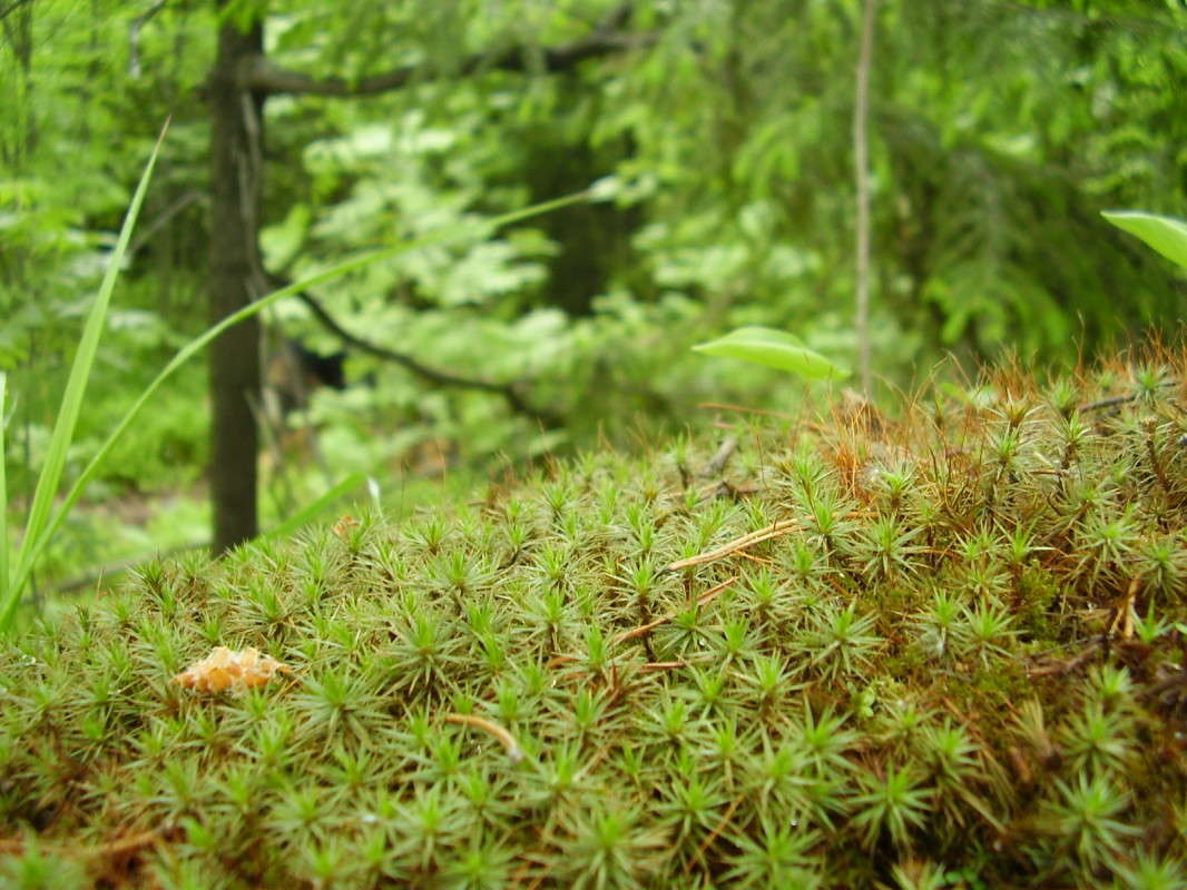 ��� ����� ����� ����� �� PhotoGeek.ru #������ ��� �������