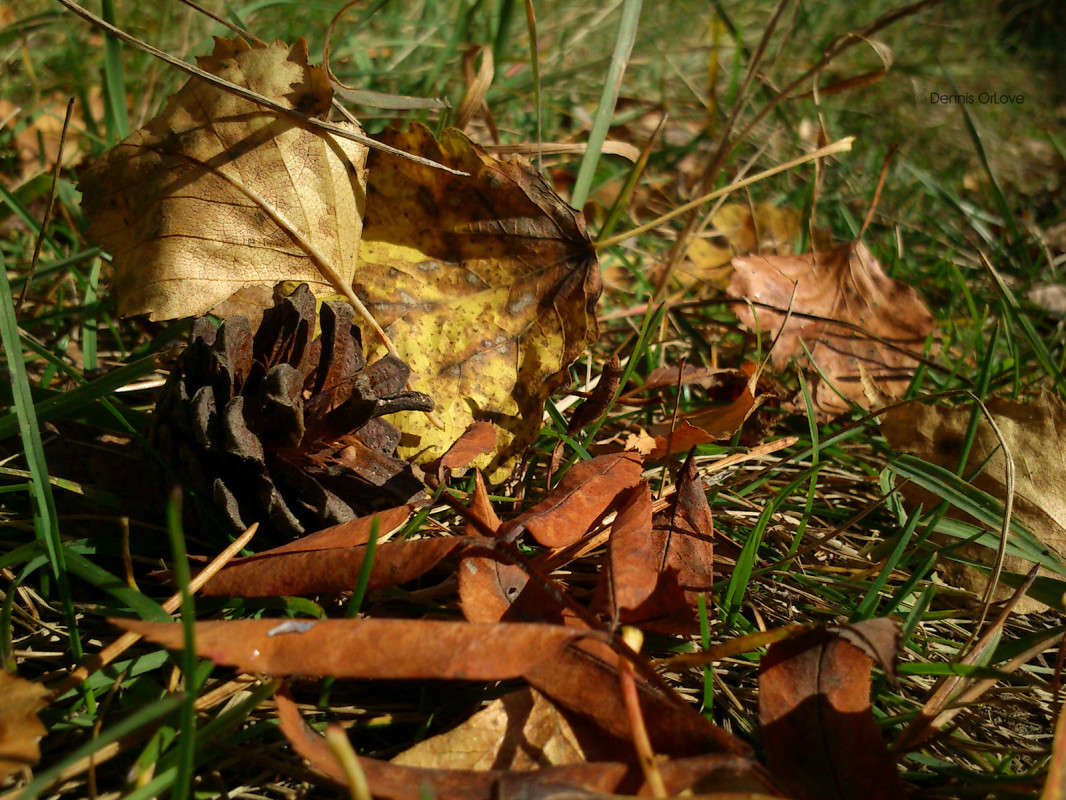 ����� ����� ����� ����� �� PhotoGeek.ru #������ ��� �������