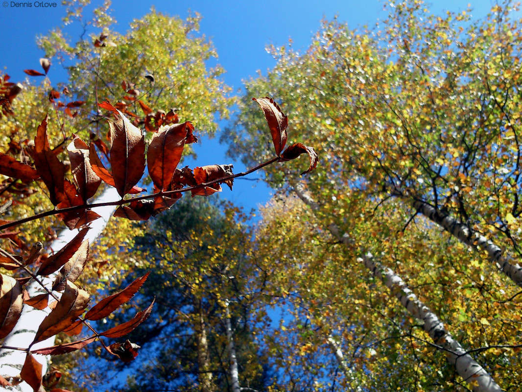 � ���� ����� ����� ����� �� PhotoGeek.ru #������ ��� �������