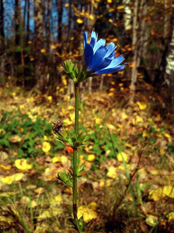 ��������� �� ���� ����� ����� ����� �� PhotoGeek.ru #������ ��� �������