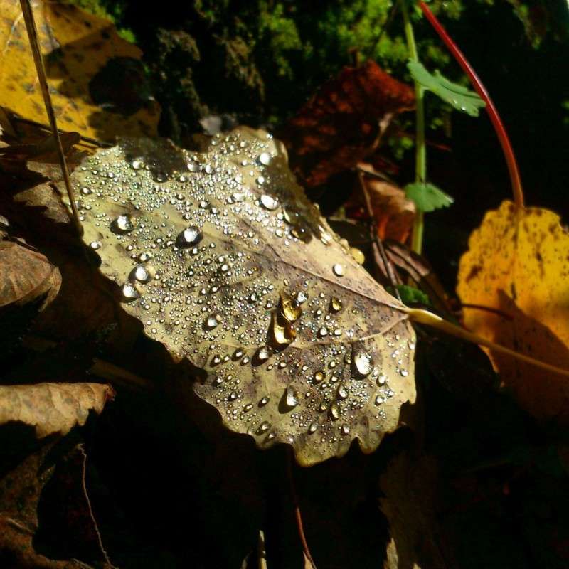 ����� ����� ����� ����� �� PhotoGeek.ru #������ ��� �������