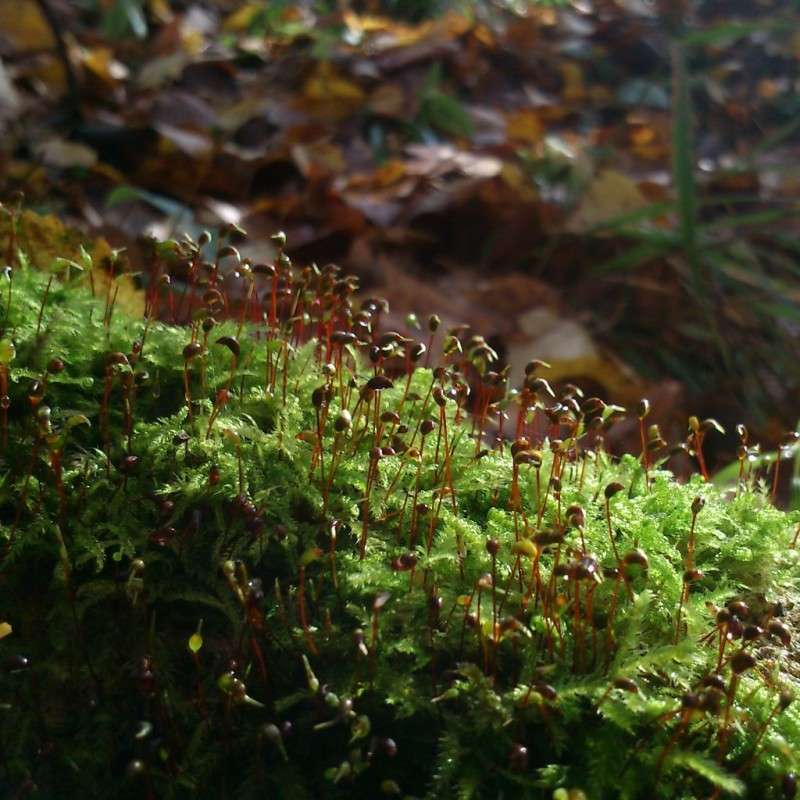 ��� ����� ����� ����� �� PhotoGeek.ru #����� #������ ��� ������� #����� �������������� #����� ��������