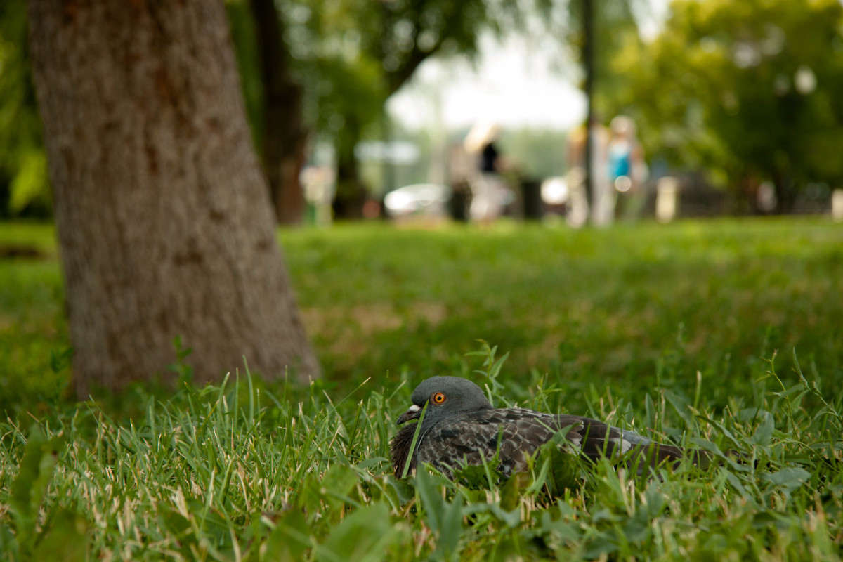 ����� ���� ����� ����� ����� �� PhotoGeek.ru #����� #�������� ��� #������ ��� ������� #����� ��������