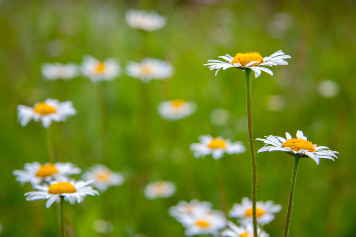 ���������� ������ ����� ����� ����� �� PhotoGeek.ru #������ ��� ������� #����� ��������������