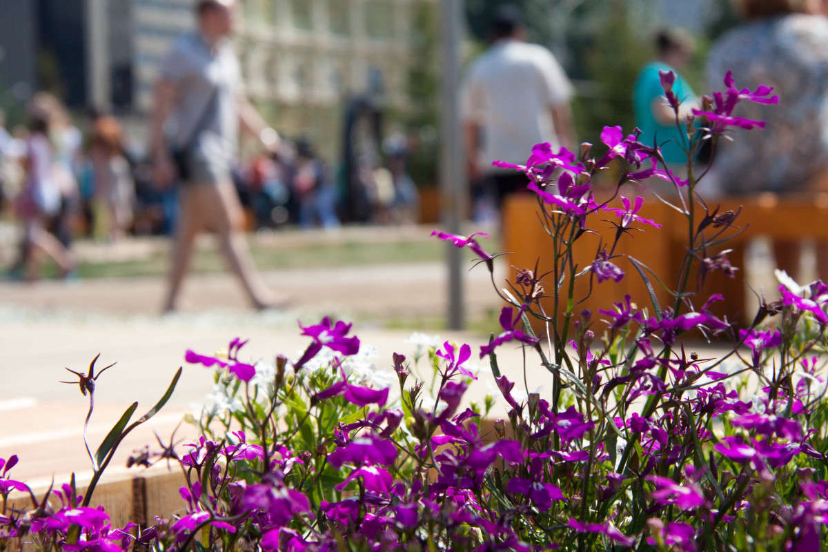 ���� � ������ ����� ����� ����� �� PhotoGeek.ru #����� #��������� ������ #�����-���