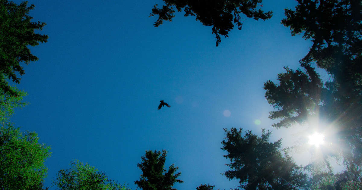 �� ����... ����� ����� ����� �� PhotoGeek.ru #������ ��� ������� #����� ��������