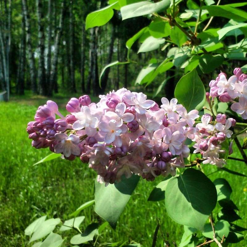 ���� �����! ����� ����� ����� �� PhotoGeek.ru #������ ��� ������� #����� ��������������