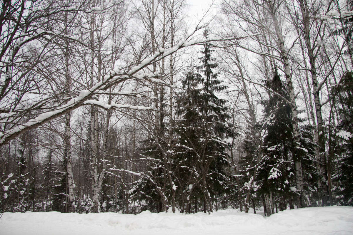 � ���� ����� ����� ����� �� PhotoGeek.ru #������ ��� �������