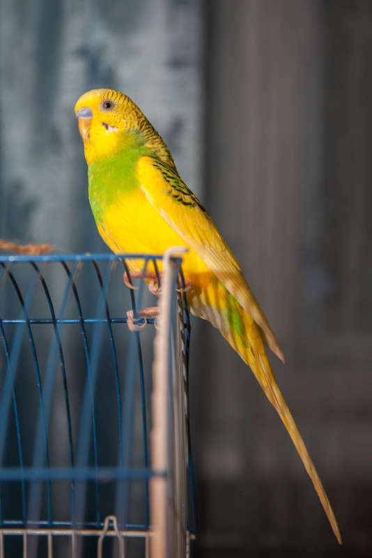 ��� ����� ����� ����� �� PhotoGeek.ru #�������� ��� #�������� ���