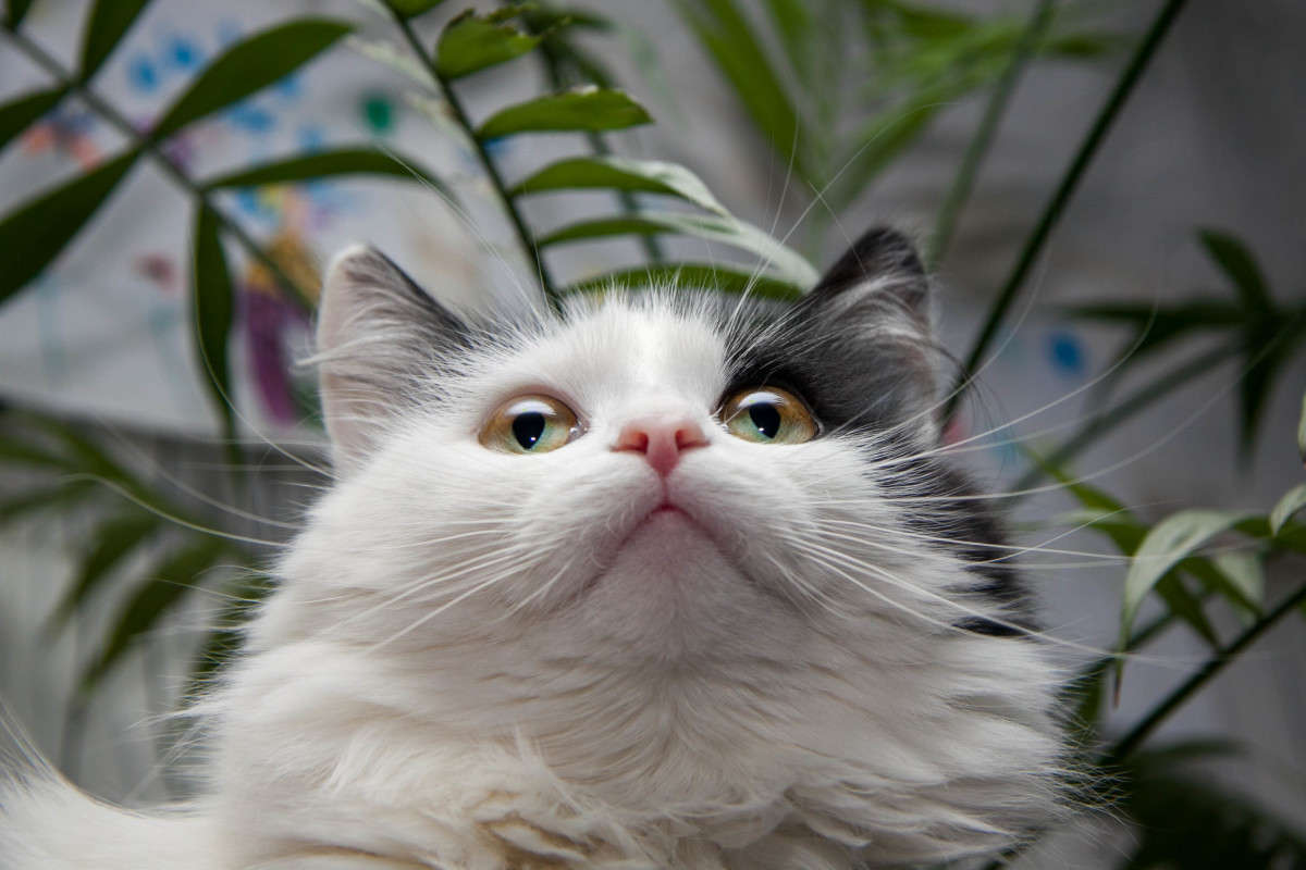 ���� ����� ����� ����� �� PhotoGeek.ru #�������� ���