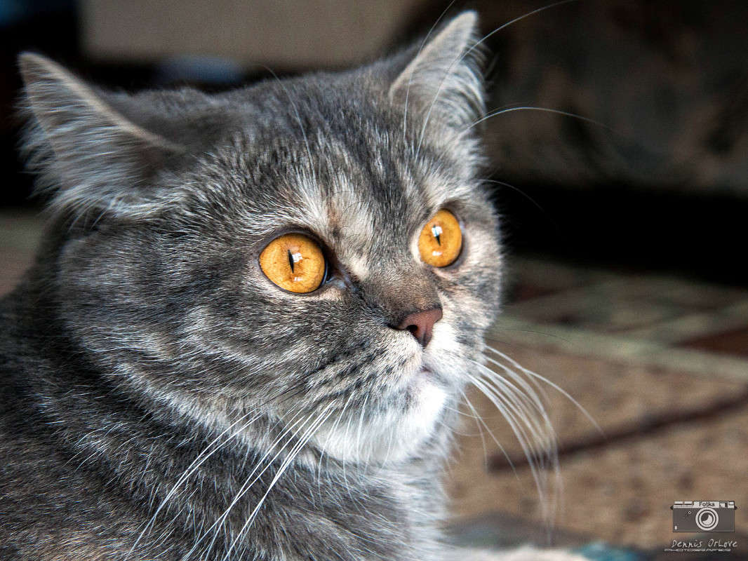 ������ ����� ����� ����� �� PhotoGeek.ru #�������� ���