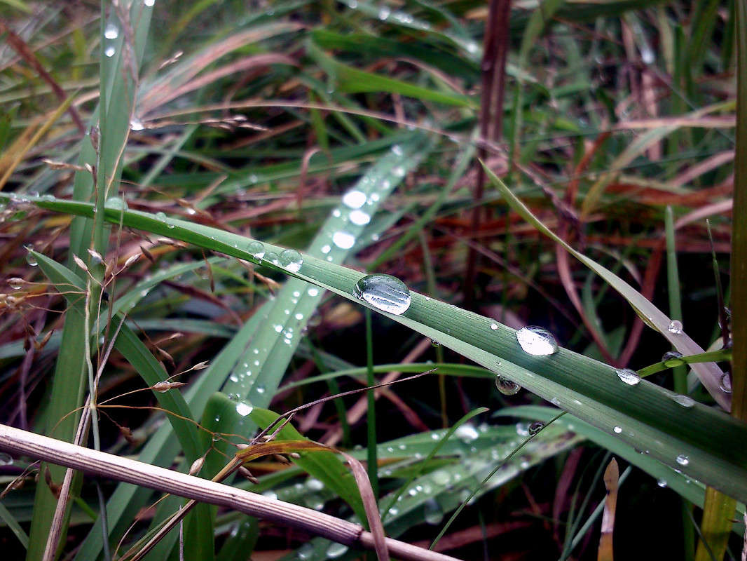 ������� ����� ����� ����� �� PhotoGeek.ru #������ ��� ������� #����� �������������� #����� ��������