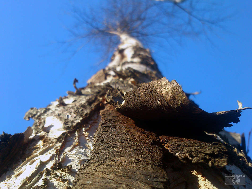 ����� ����� ����� ����� �� PhotoGeek.ru #������ ��� �������