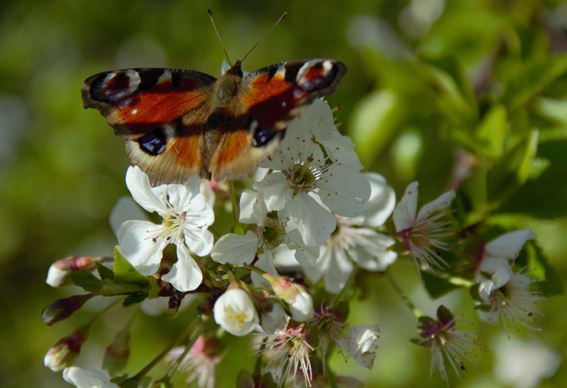 ������ �� ������ �����   �� PhotoGeek.ru #������ ��� �������