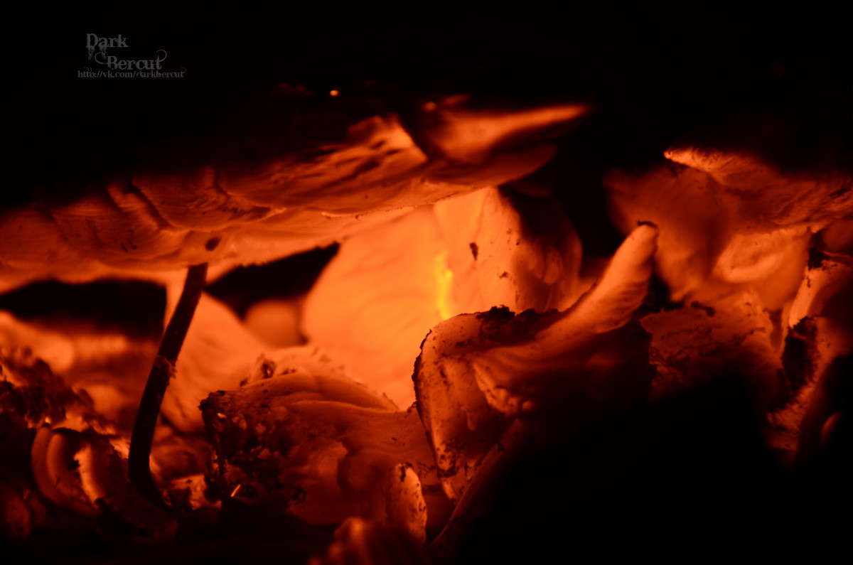 ��������� �� ��� ����� DarkBercut  �� PhotoGeek.ru #����� #����� #�����