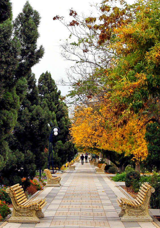 ������� �������.. ����� ����� ��������� �� PhotoGeek.ru #�����