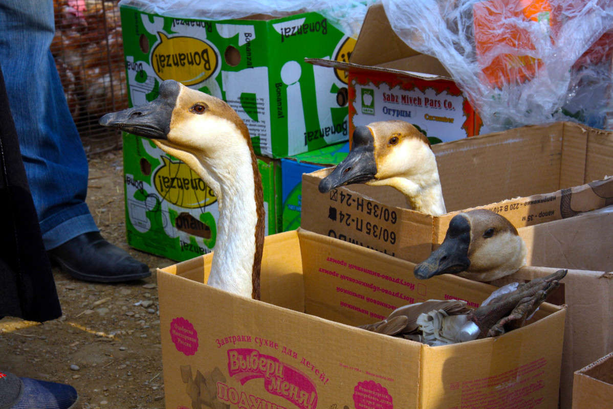 ������ ����.. ����� ����� ��������� �� PhotoGeek.ru #�������� ���