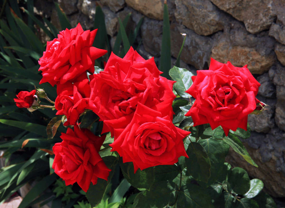 ����.. ����� ����� ��������� �� PhotoGeek.ru #������ ��� �������