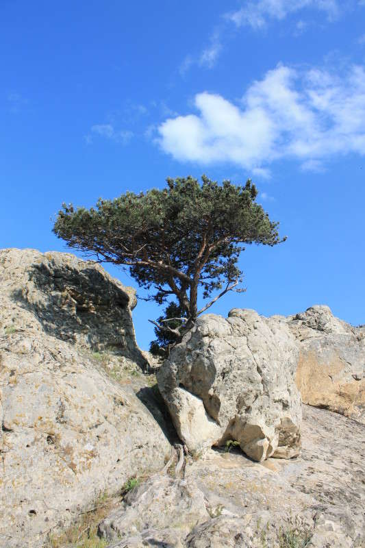 � �� ������ ������ �������.. ����� ����� ��������� �� PhotoGeek.ru #������ ��� �������