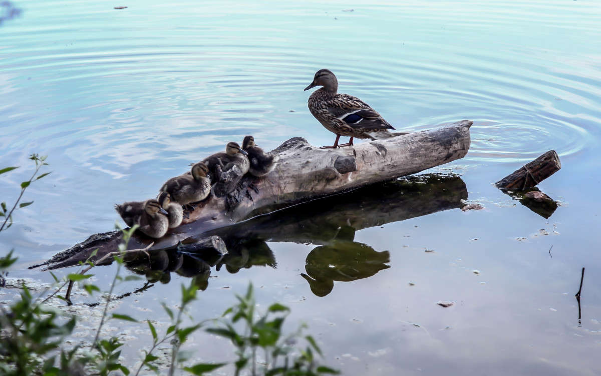 ������ ���������.. ����� ����� ��������� �� PhotoGeek.ru #�������� ���