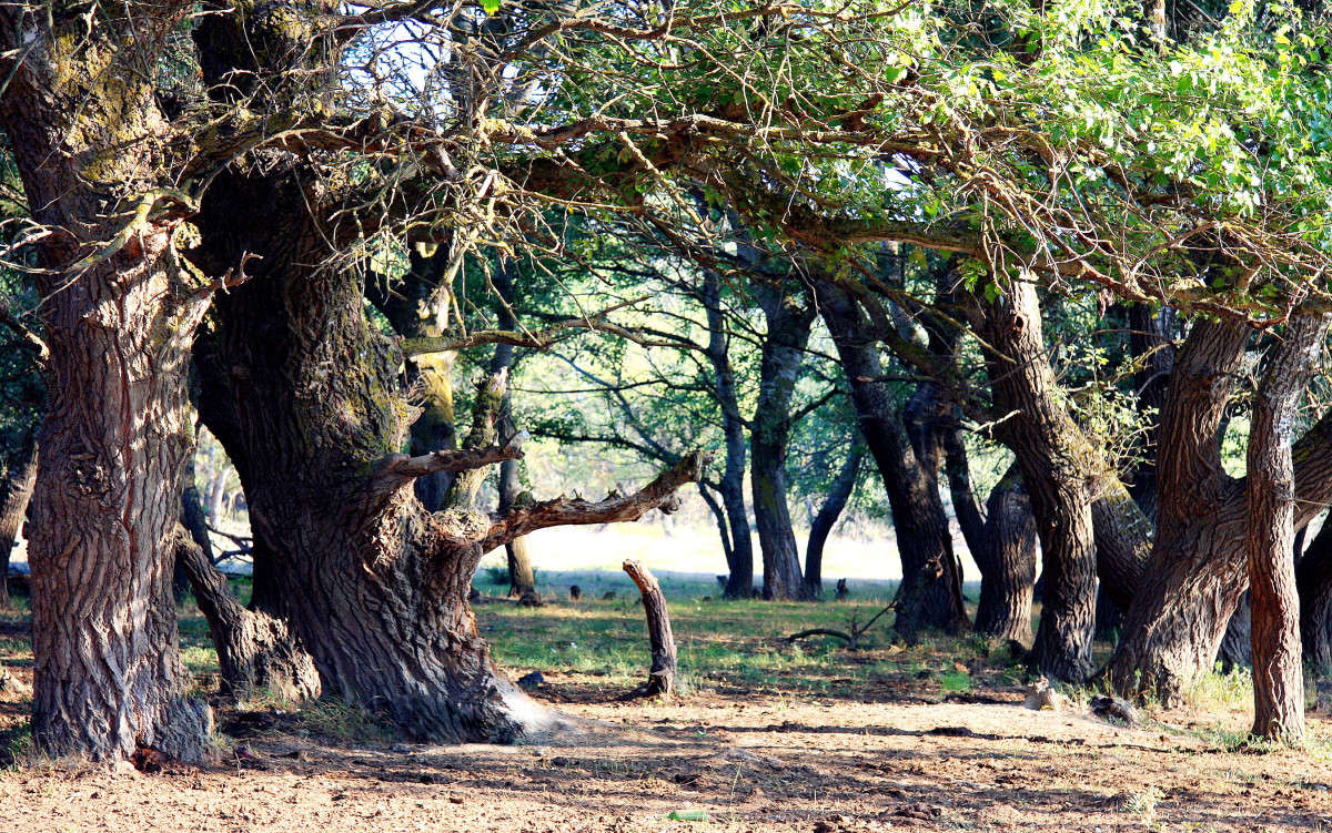 ��������� ���.. ����� ����� ��������� �� PhotoGeek.ru #������ ��� �������