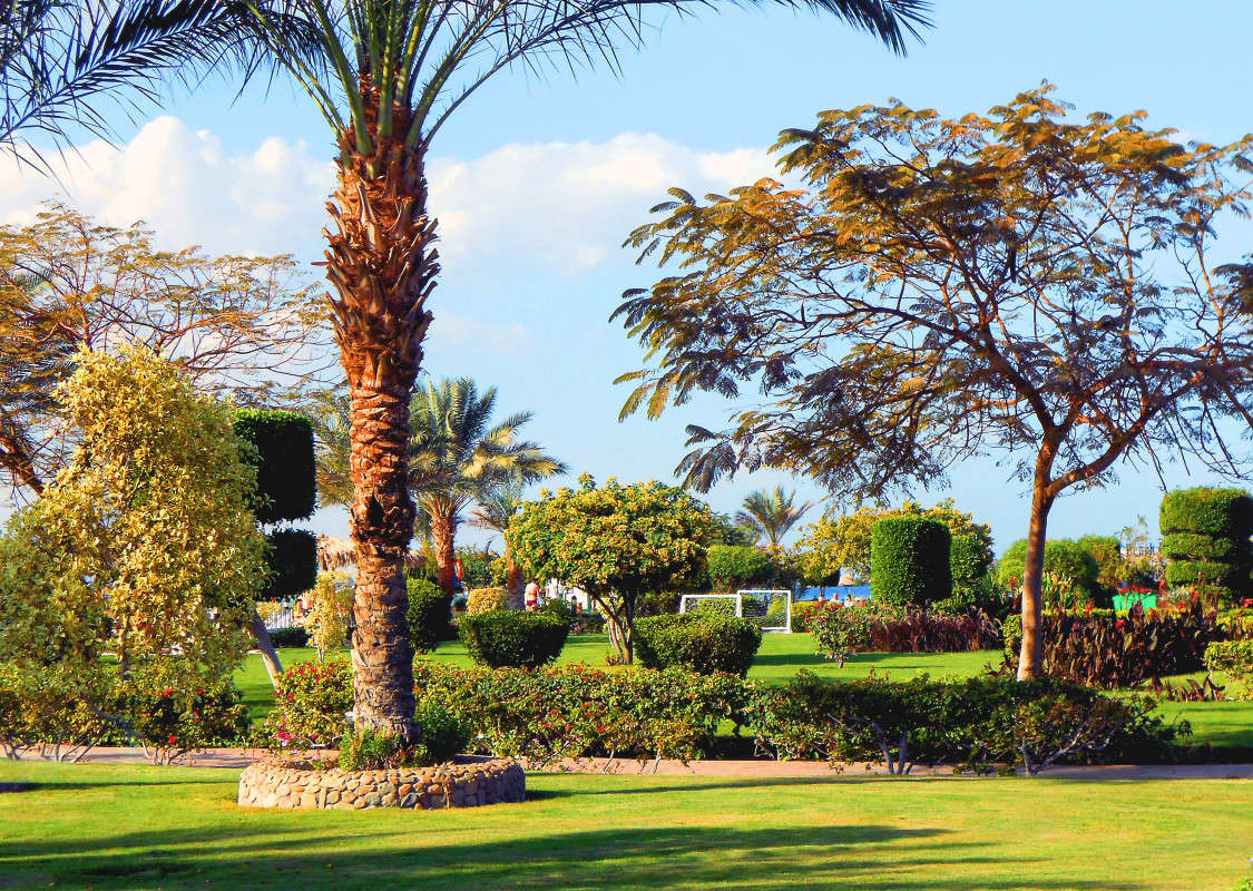 � ������.. ����� ����� ��������� �� PhotoGeek.ru #������ ��� �������