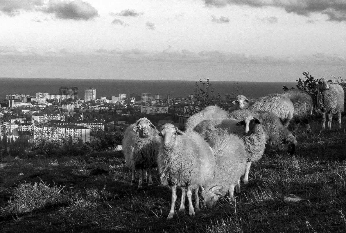 �� "��������.. ����� ����� ��������� �� PhotoGeek.ru #�������� ���������� #�����-�����