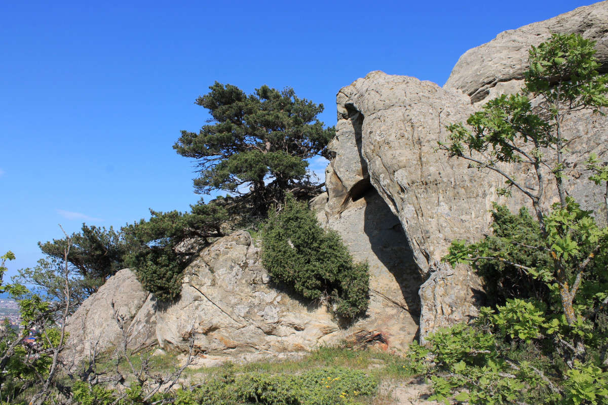 ������ ������.. ����� ����� ��������� �� PhotoGeek.ru #������ ��� �������