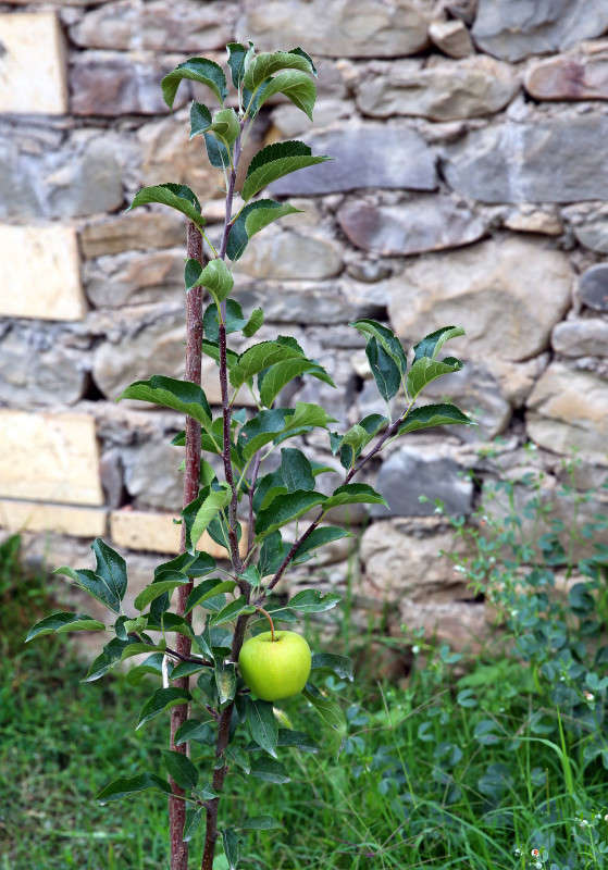 ������ "������.. ����� ����� ��������� �� PhotoGeek.ru #������ ��� ������� #����� ��������������