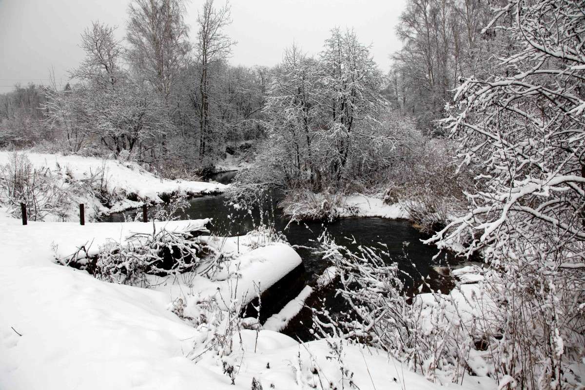 �����������.. ����� ����� ��������� �� PhotoGeek.ru #������ ��� �������