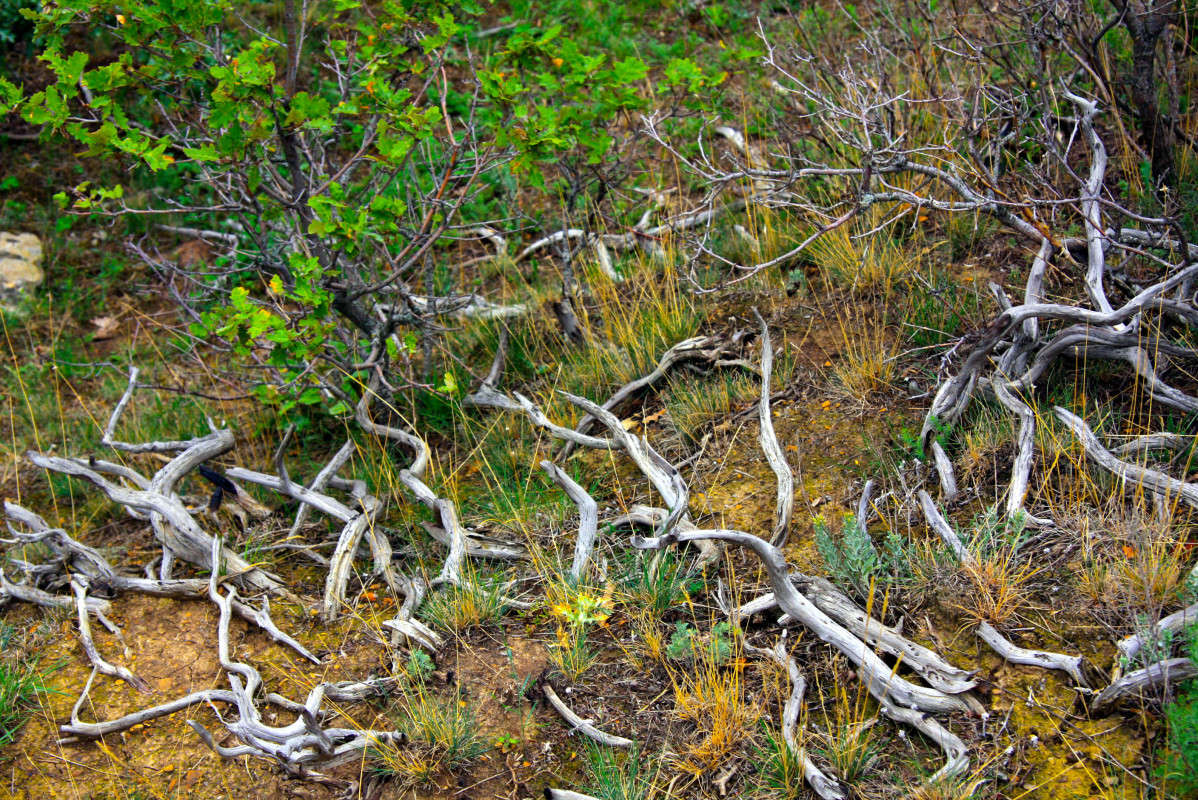 �����" ����� ����� ��������� �� PhotoGeek.ru #������ ��� ������� #�������� ����������