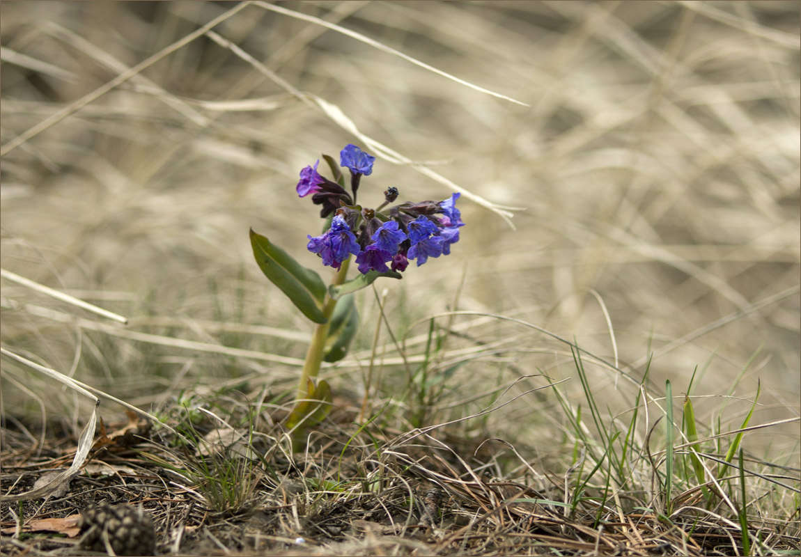 ... ����� dedo ������. �� PhotoGeek.ru #������ ��� �������