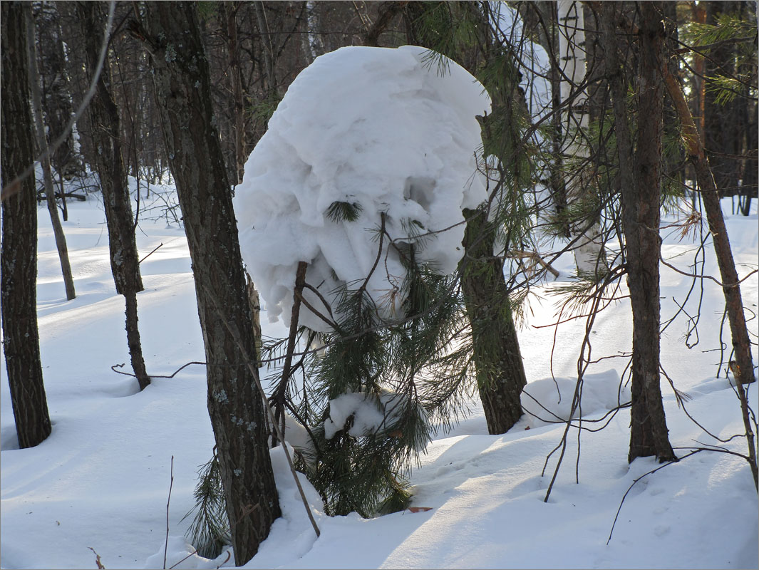 �������-1 ����� dedo ������. �� PhotoGeek.ru #������ ��� ������� #���������