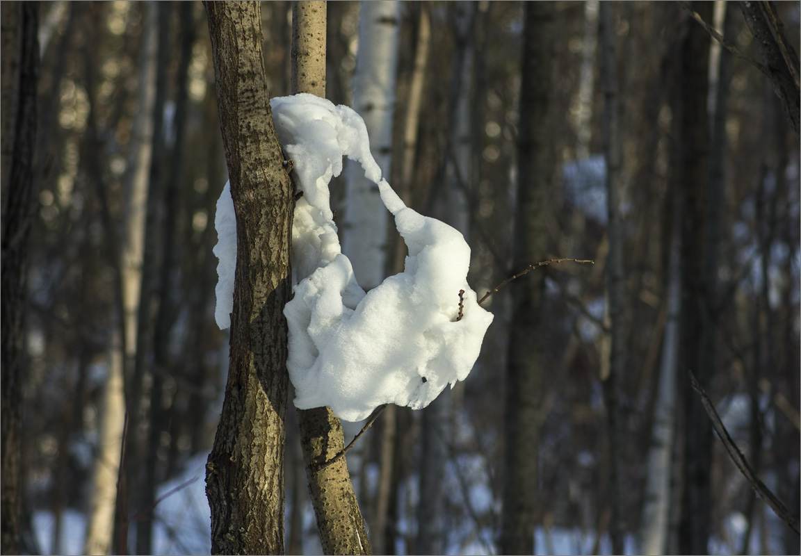 �������-5 ����� dedo ������. �� PhotoGeek.ru #������ ��� ������� #���������