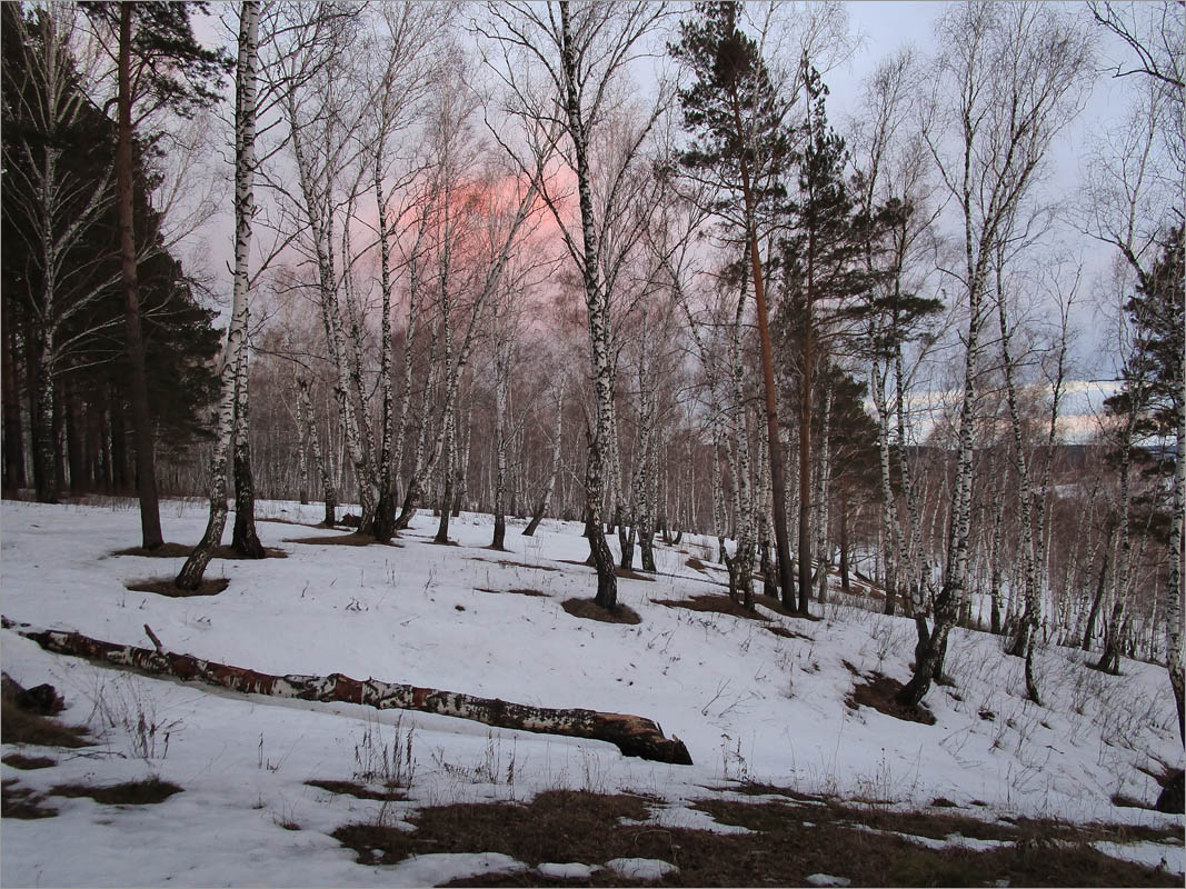 ���� ������- 4 ����� dedo ������. �� PhotoGeek.ru #������ ��� �������