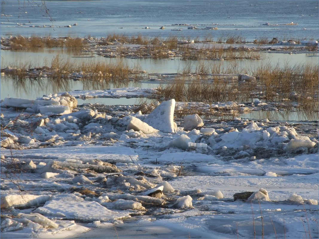 ���� ������- 5 ����� dedo ������. �� PhotoGeek.ru #������ ��� �������