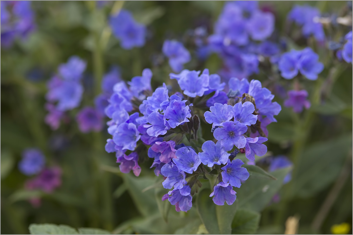 ... ����� dedo ������. �� PhotoGeek.ru #������ ��� �������